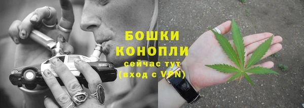 ПСИЛОЦИБИНОВЫЕ ГРИБЫ Алзамай