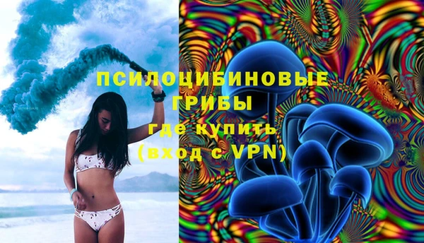 дмт Алексин